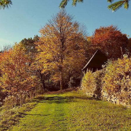 Parkhotel Schwarzenberg - Garni Kültér fotó