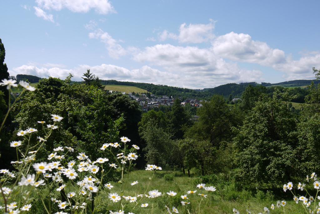 Parkhotel Schwarzenberg - Garni Kültér fotó