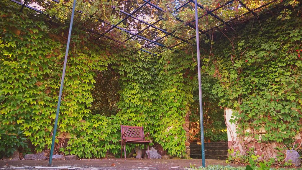 Parkhotel Schwarzenberg - Garni Kültér fotó