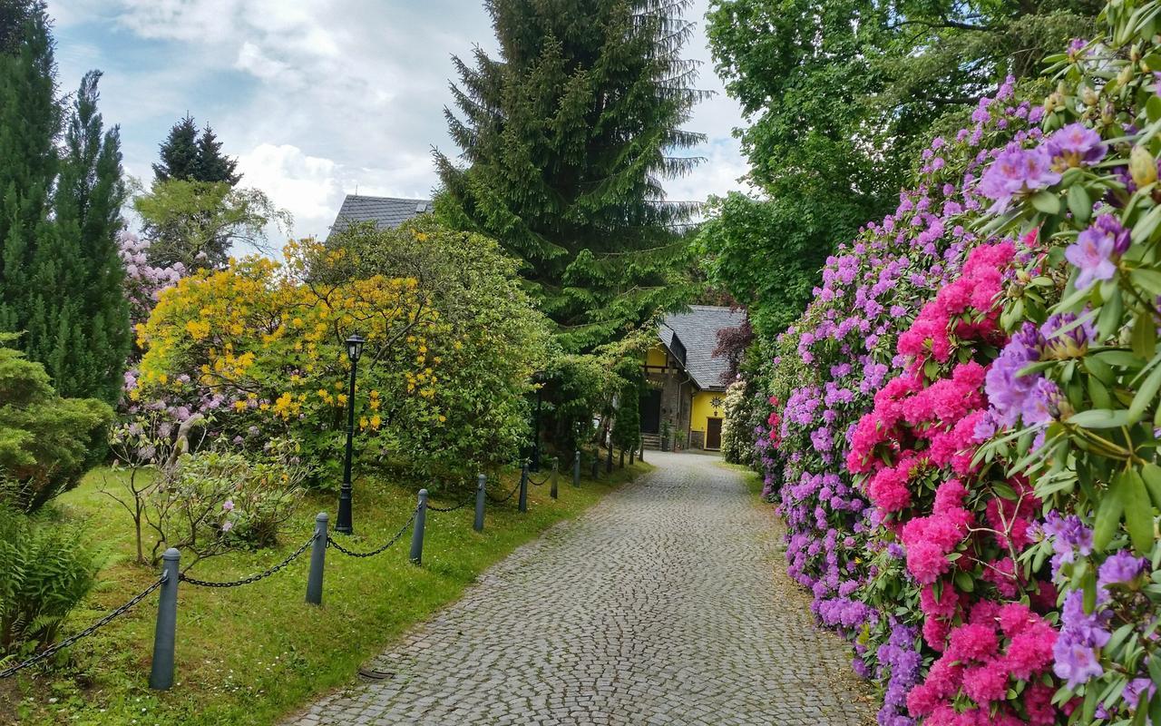 Parkhotel Schwarzenberg - Garni Kültér fotó